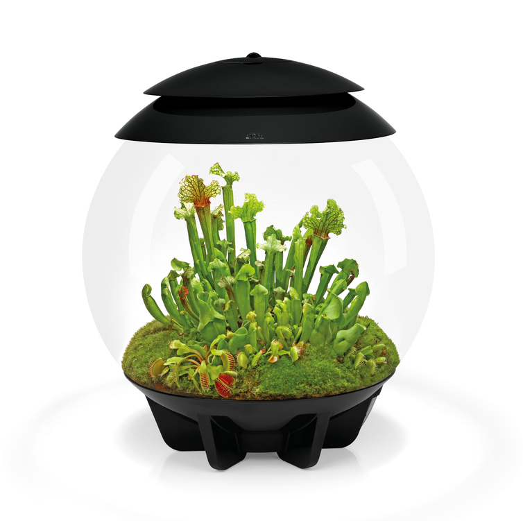 Флорариум biOrb AIR 30 Black  