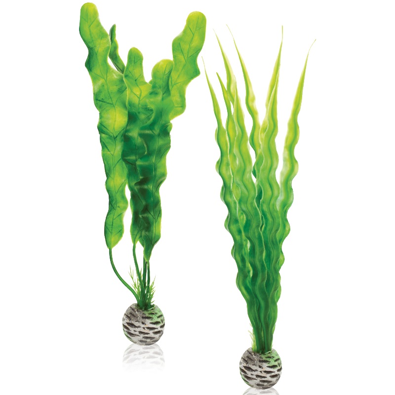 Набор "Зеленые растения" Easy plan set medium green