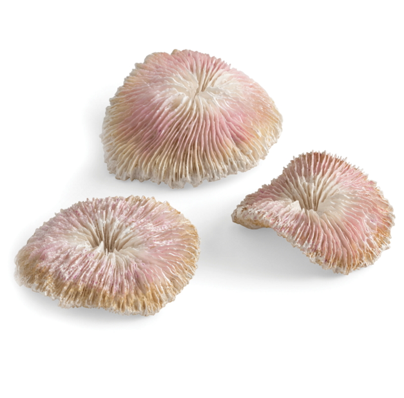 Набор пластиновых корал, Plate coral set  