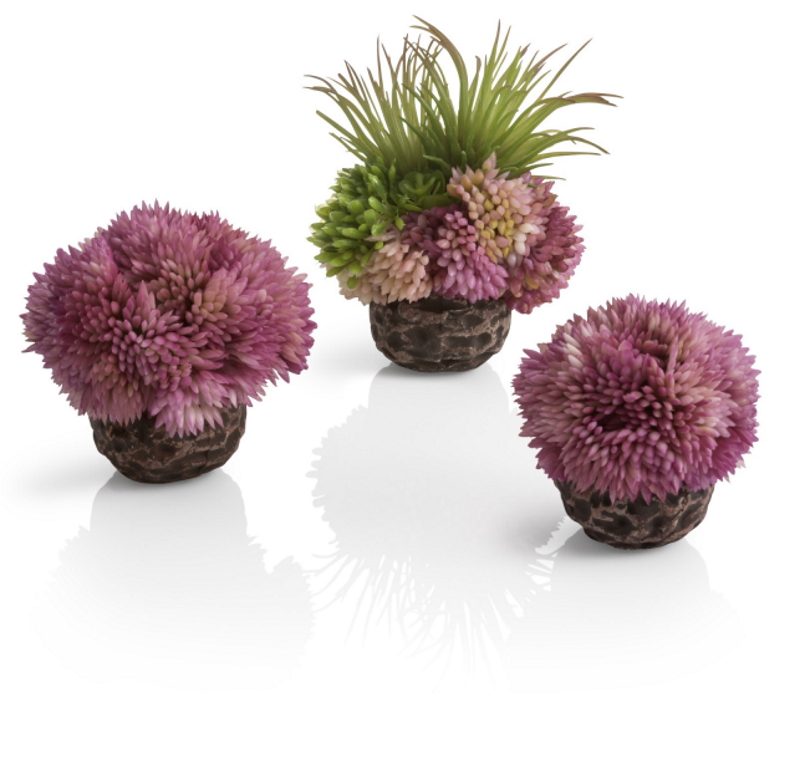 Набор фиолетовые коралловые шары, Coral ball set purple  