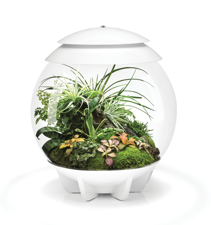Флорариум, biOrb AIR 30 white  