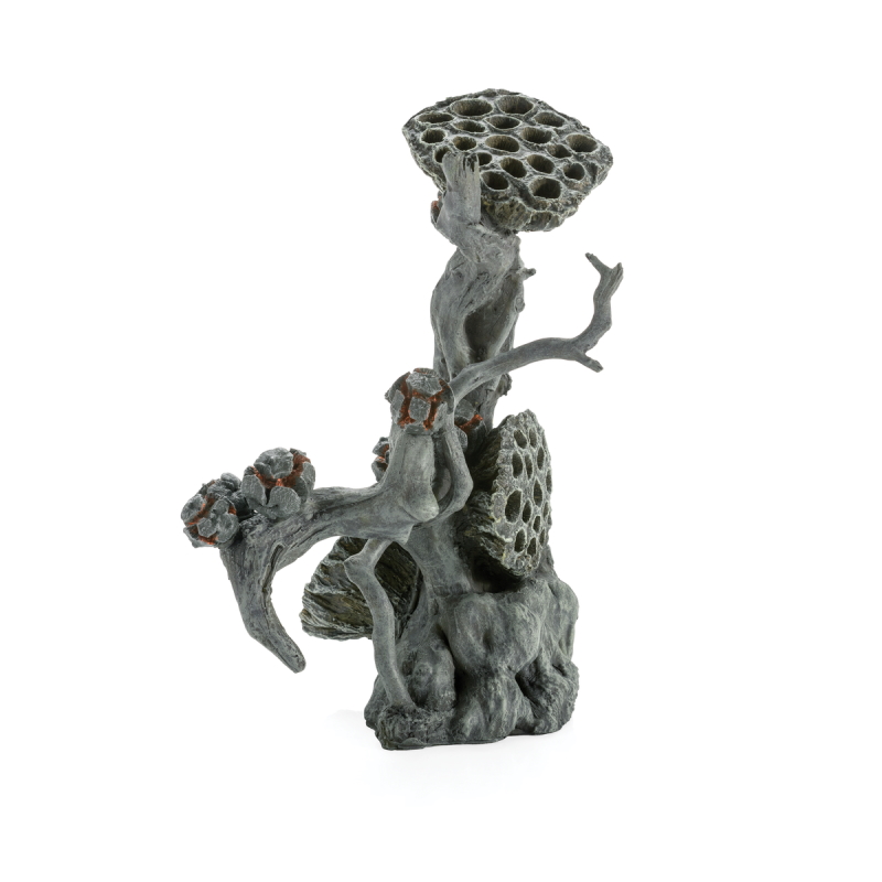 Декоративный элемент, biOrb Lotus seedpod on Root L