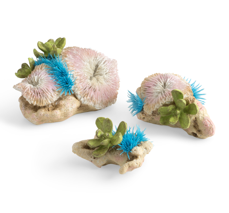 Набор "Кораллы и полипы", Plate corals & button polyp set  