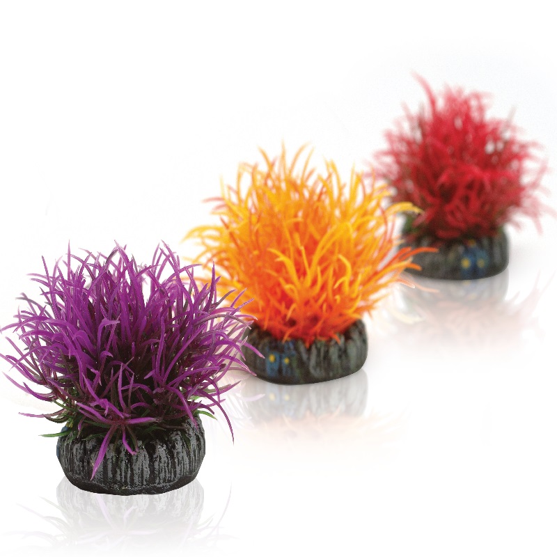 Набор из 3-х цветных водных шаров, Aquatic color ball set 3