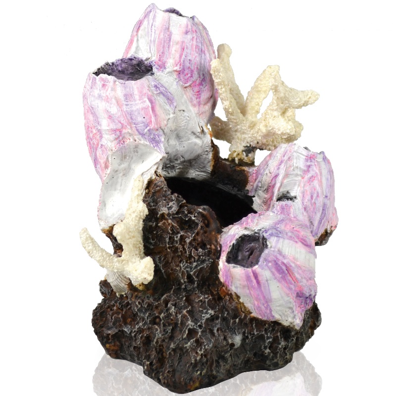 Декоративный элемент "Морская уточка", Barnacle ornament small pink
