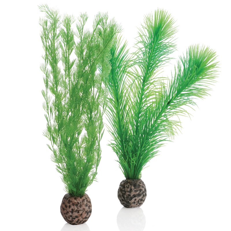 Набор "Перо папортника", Feather fern set small green