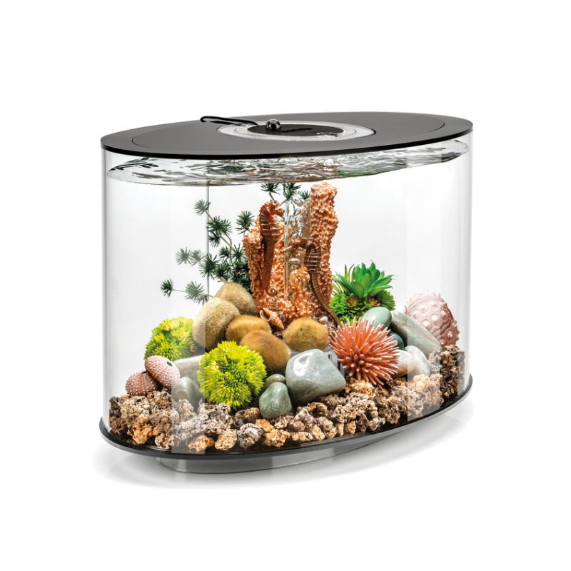 Аквариум biOrb LOOP 15 LED Black