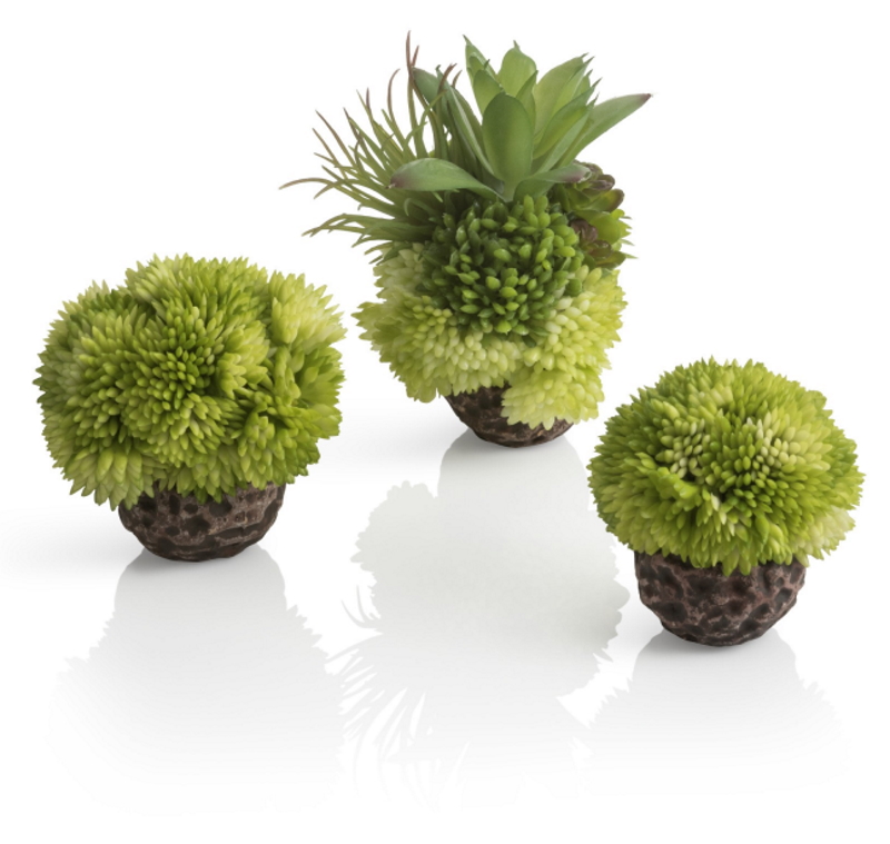 Набор зеленые коралловые шары, Coral ball set green  