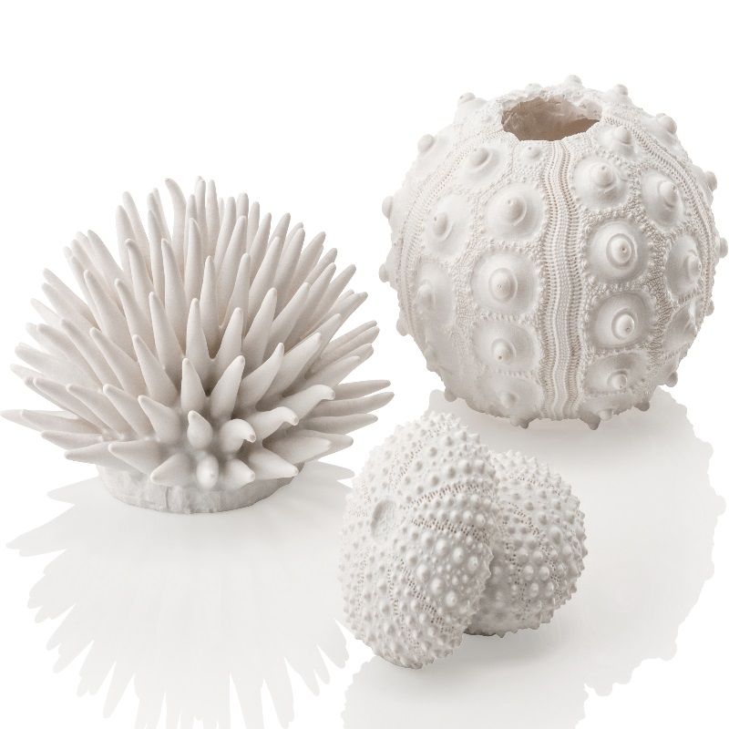 Набор "Морской ёж", sea urchins set white