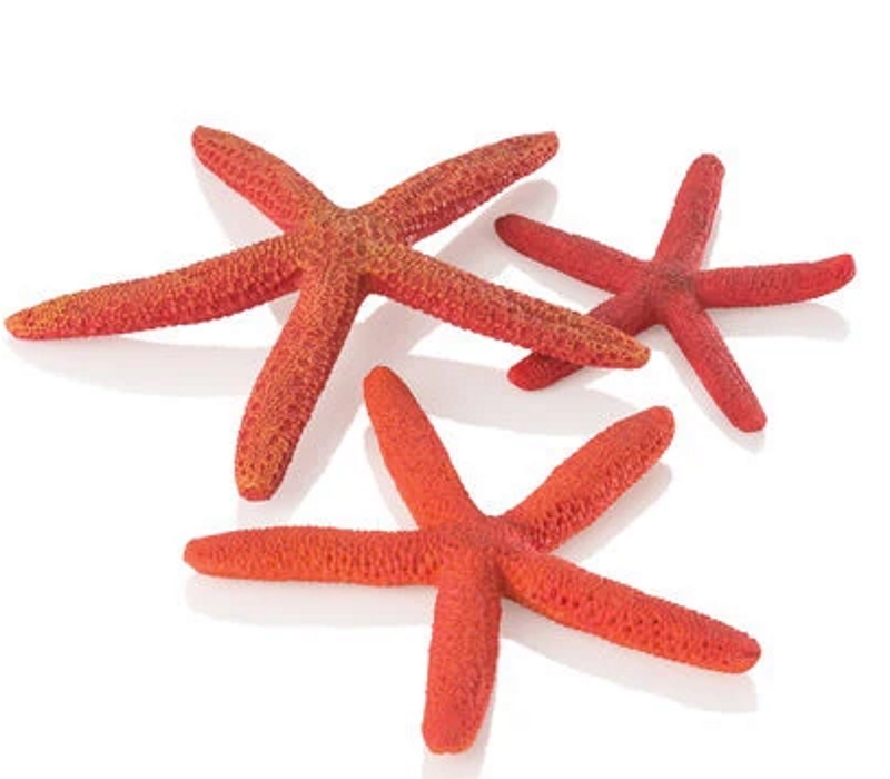 Набор красных морских звезд, Starfish set 3 red