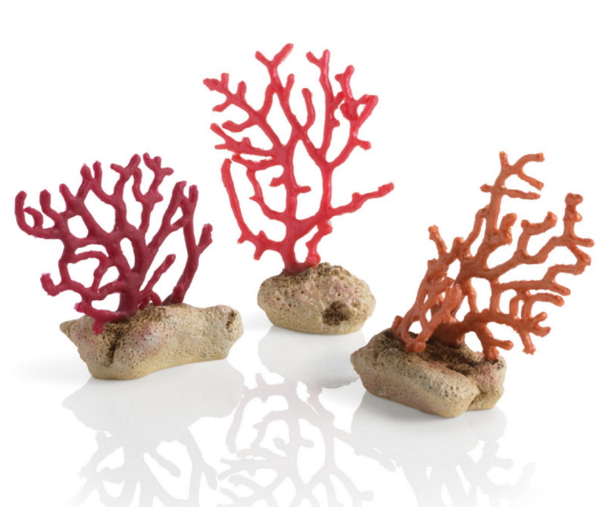 Набор из 3-х морских кораллов, Sea whips set