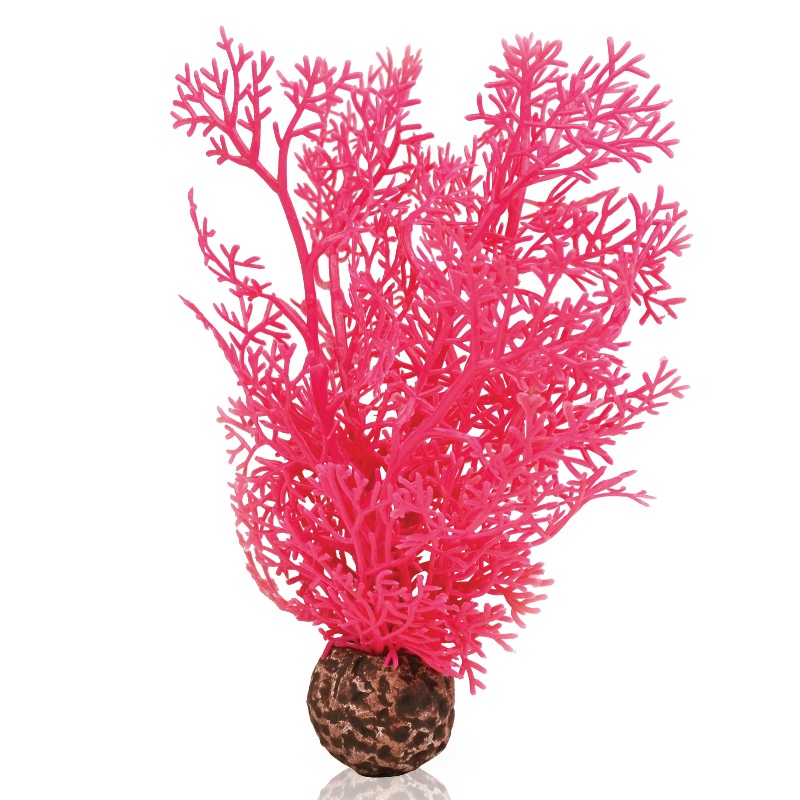 Розовый веер, Sea fan small pink