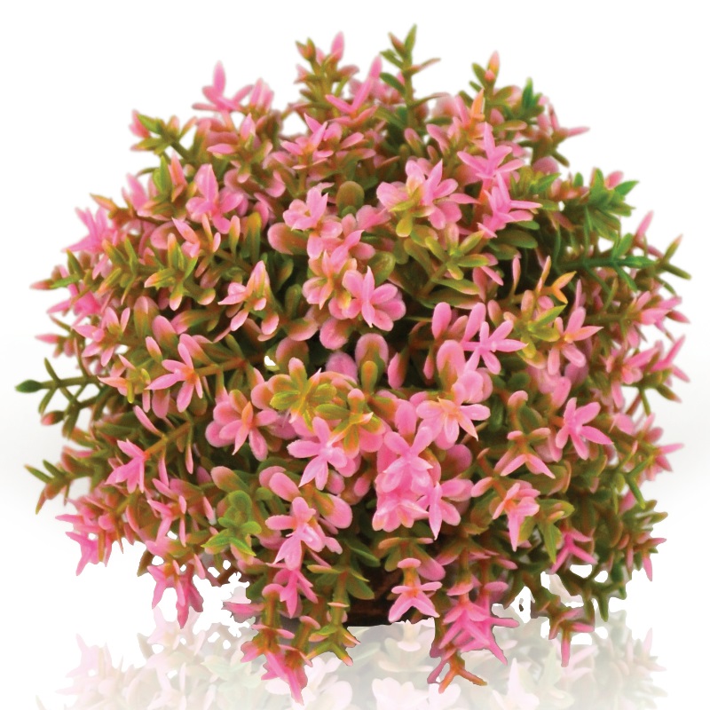 Розовый цветочный шар, Flower ball pink