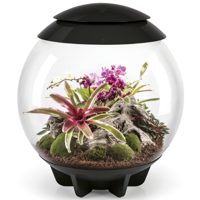 Флорариум biOrb AIR 60 Black  