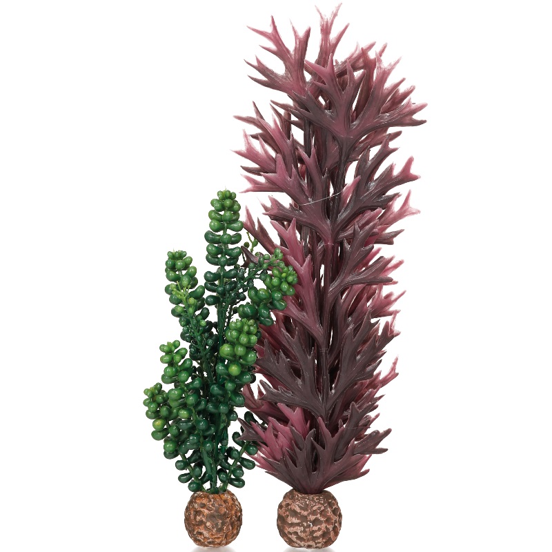 Набор "Бисер и ламинария", Seapearls - kelp olive green 