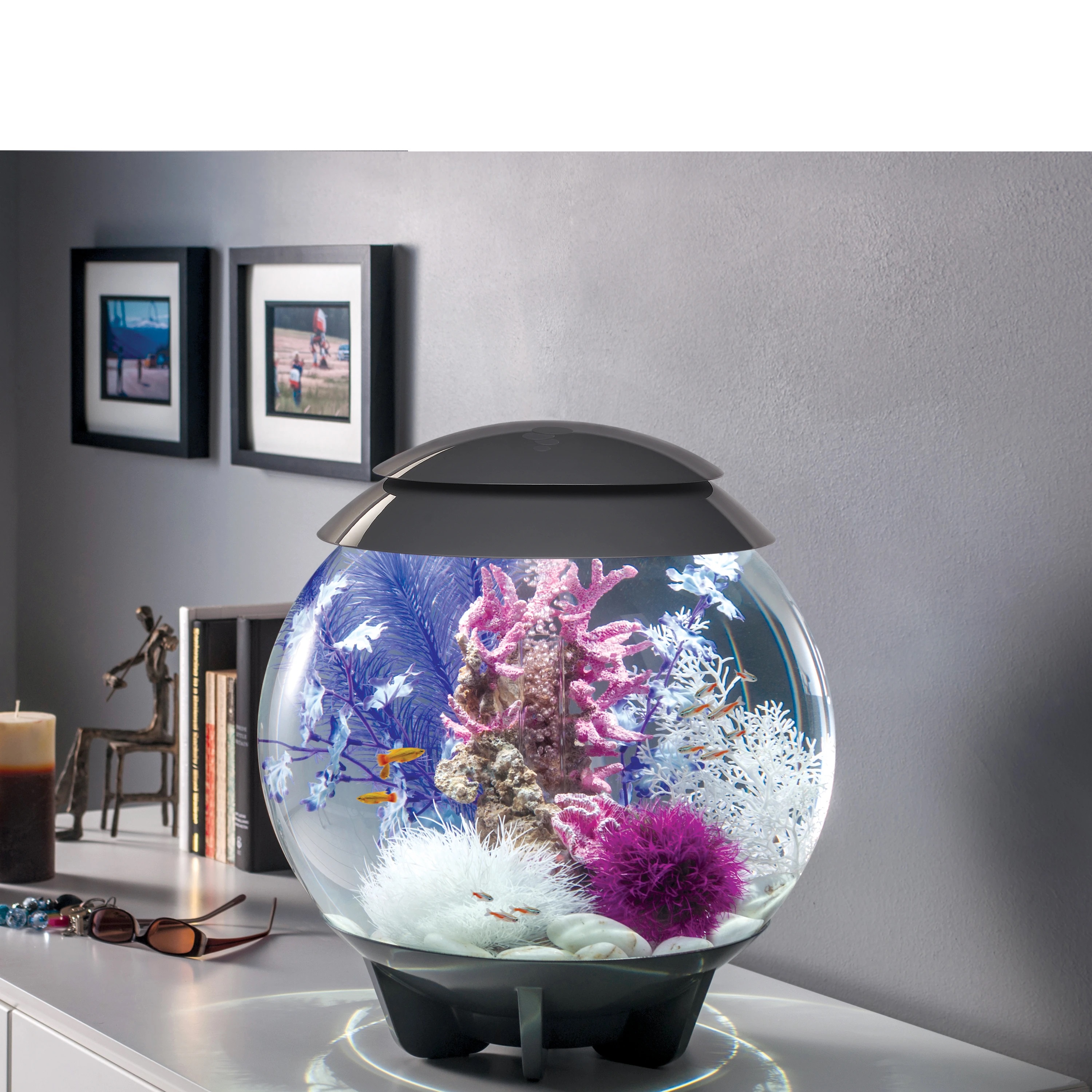 Набор "Фиолетовая ламинария",  Kelp set medium purple