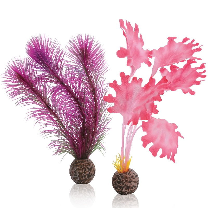 Набор "Розовая ламинария",  Kelp set small pink