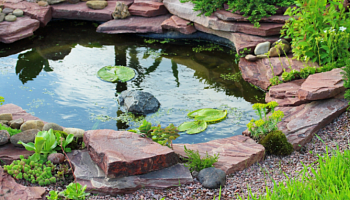 Водоем своими руками